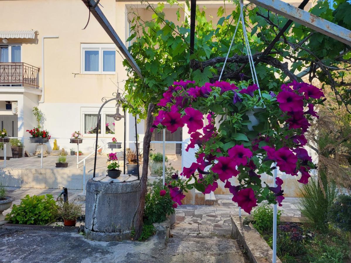 Villa Salvia Rooms And Apartments Ровинь Экстерьер фото